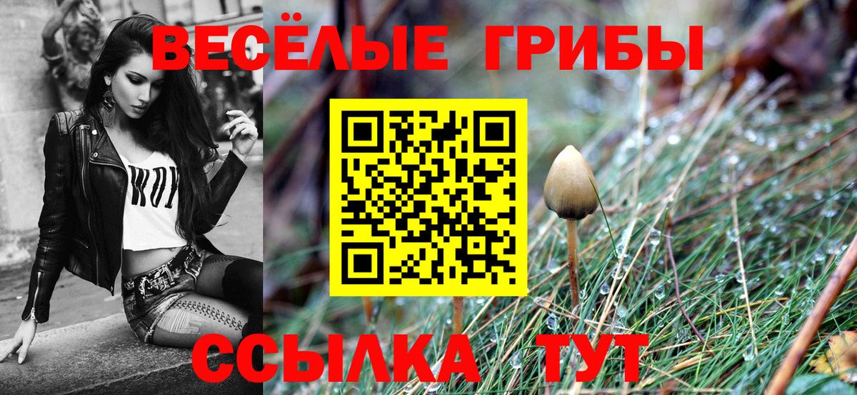 Псилоцибиновые грибы GOLDEN TEACHER  Галлюциногенные грибы ЛСД  Мариинск  Вход с VPN 