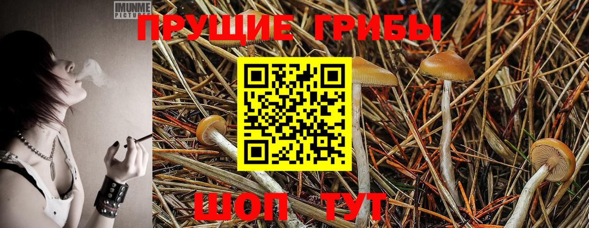 Псилоцибиновые грибы ЛСД Мариинск